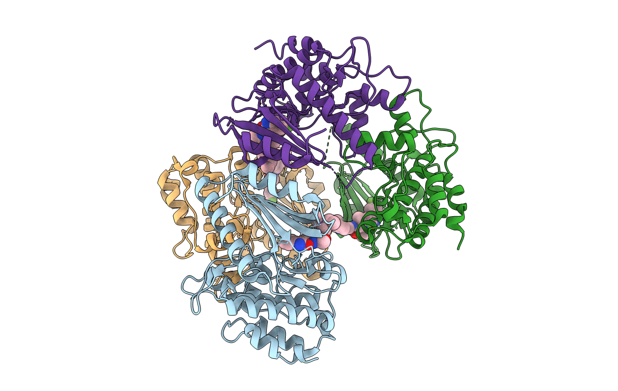 2Y7J image