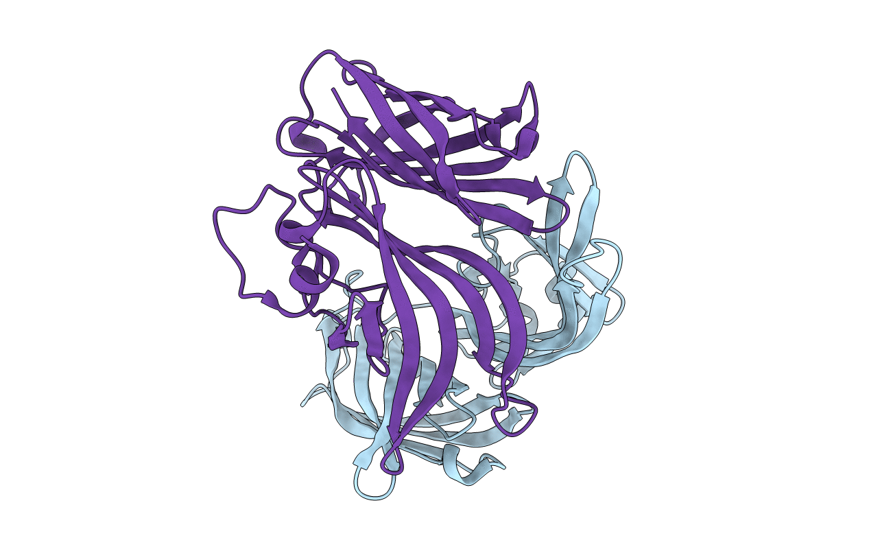 2Y7S image