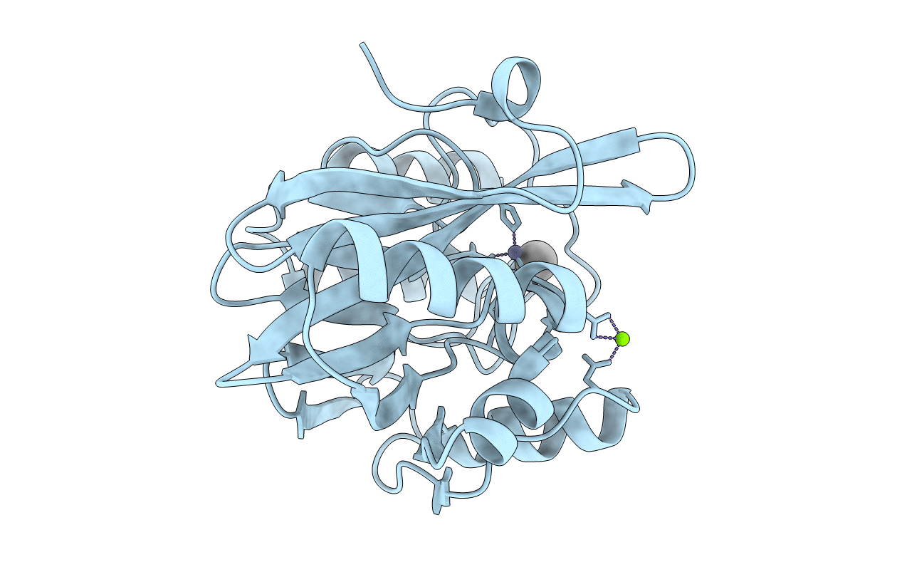 2Y8A image
