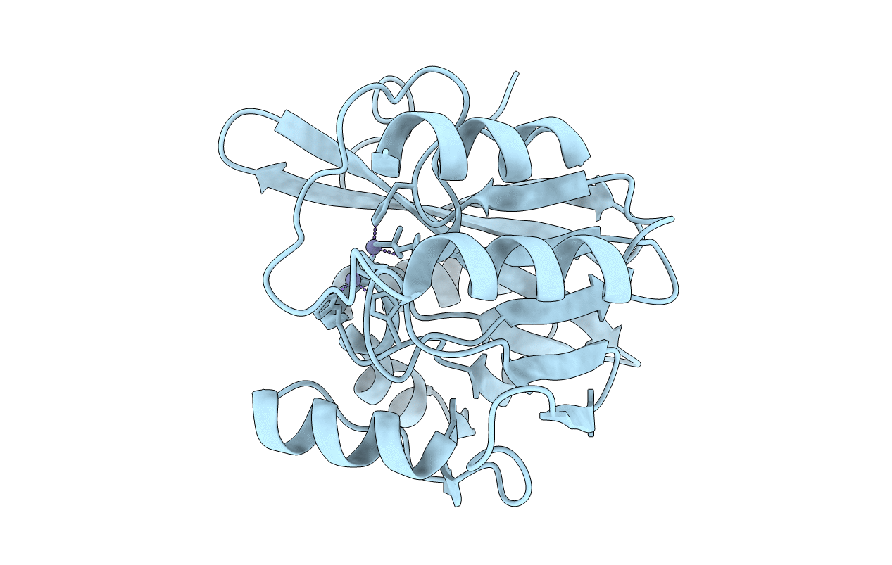 2Y8B image