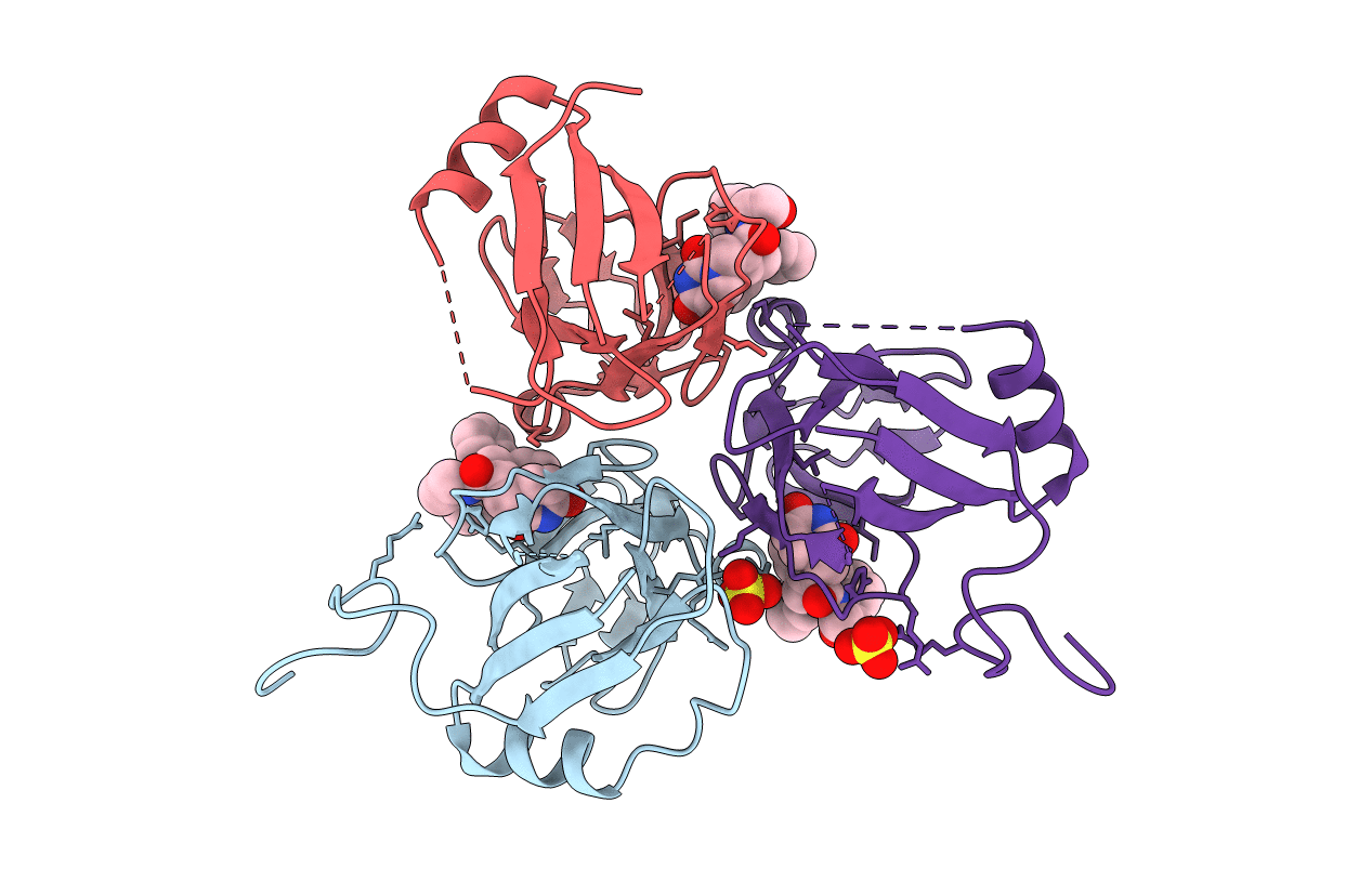 2Y8C image
