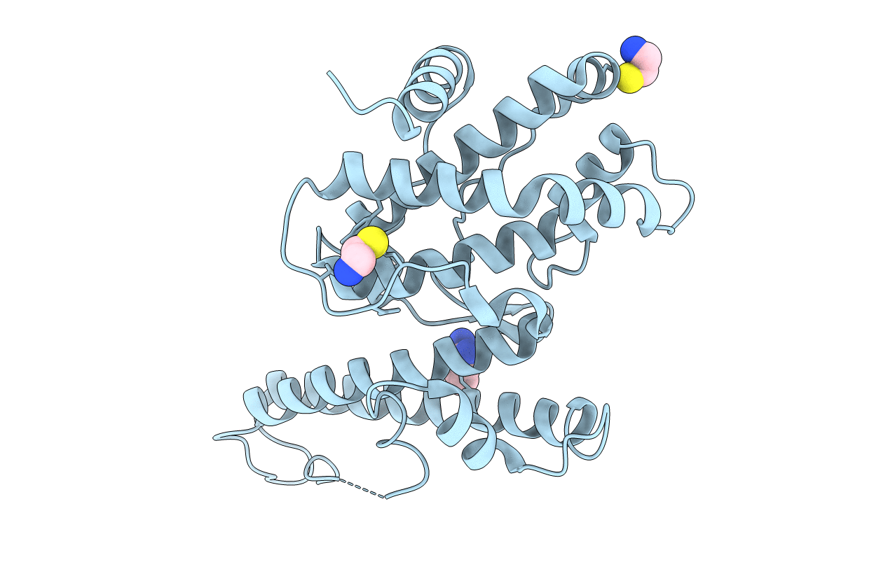 2Y8D image
