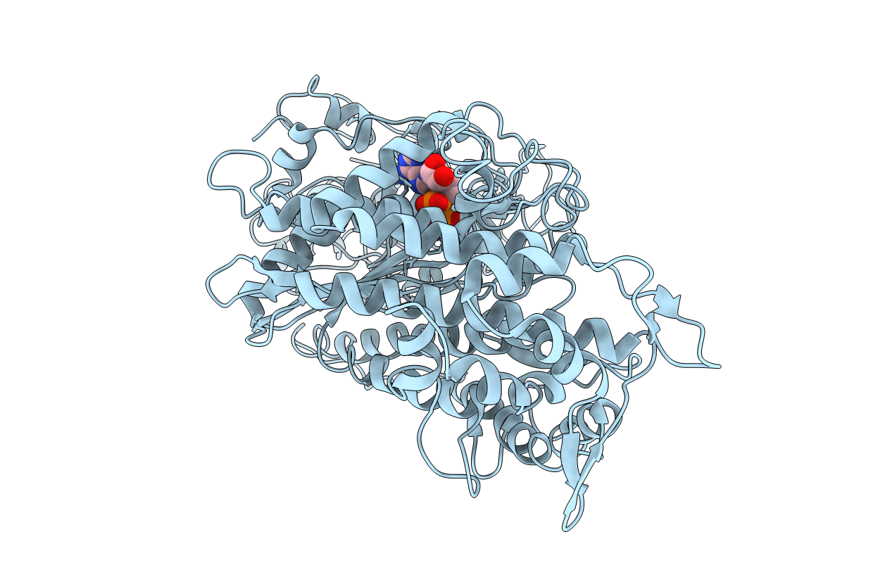 2Y8I image