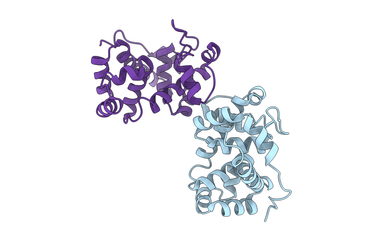 2Y8P image