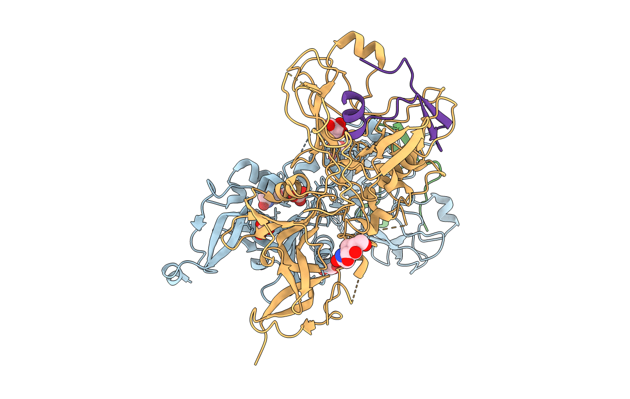 2Y8S image