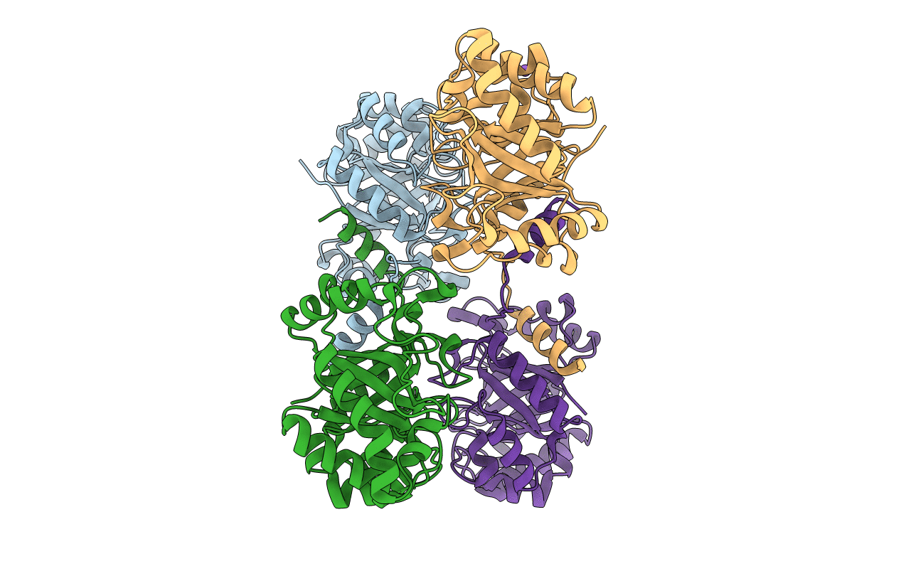 2Y8V image