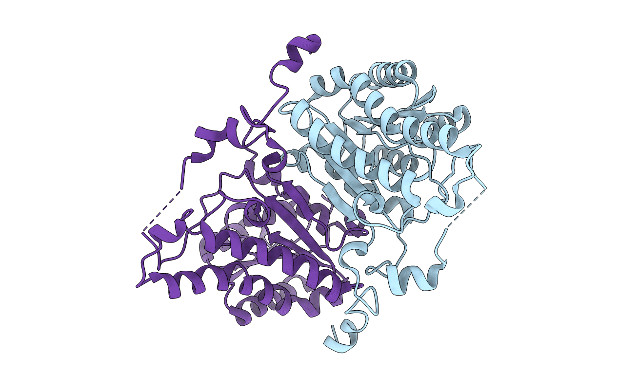 2Y93 image