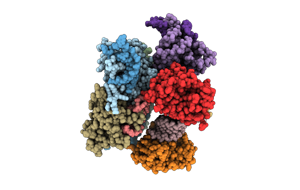 2Y9H image