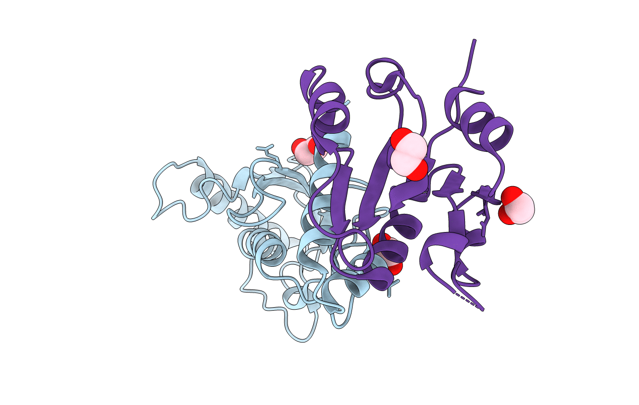 2Y9M image