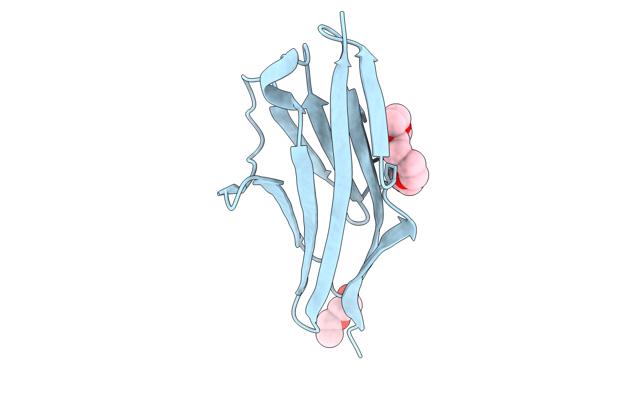 2Y9R image