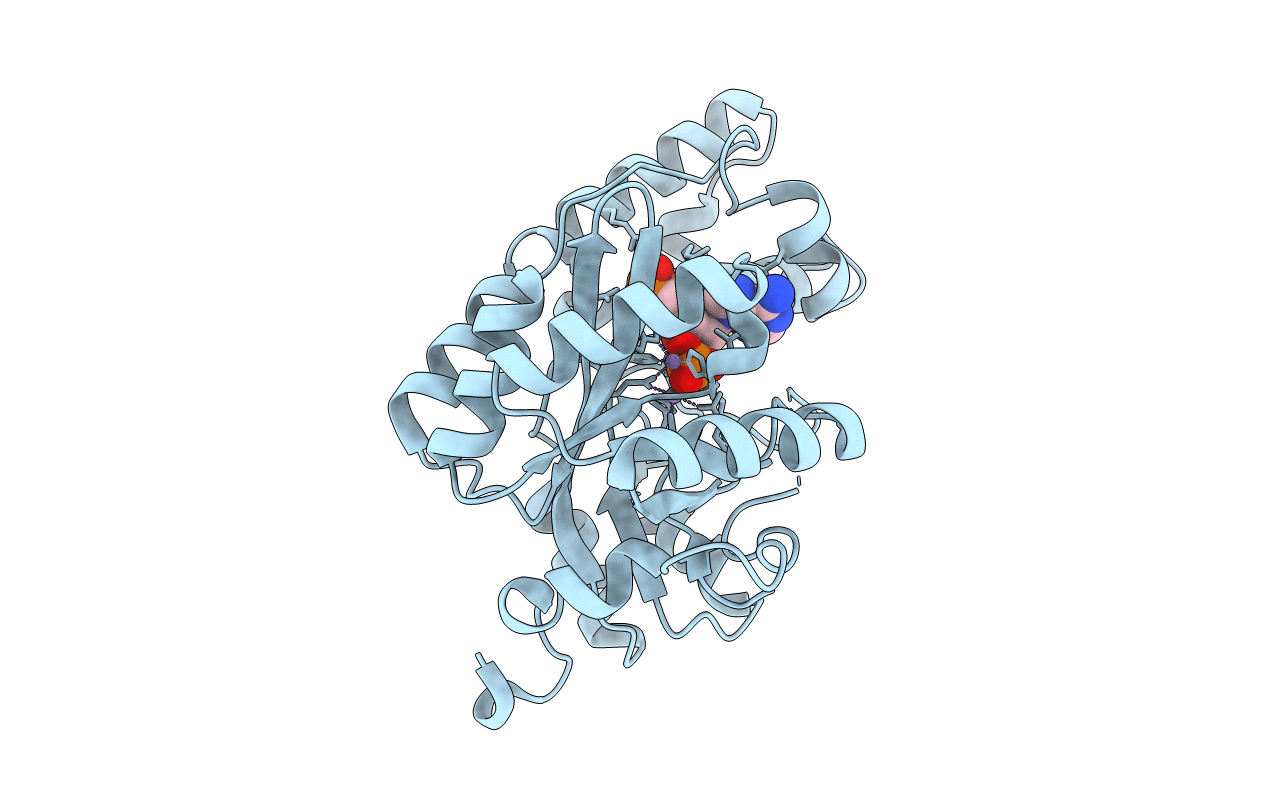 2YB1 image