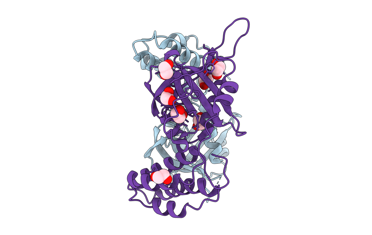 2YB5 image