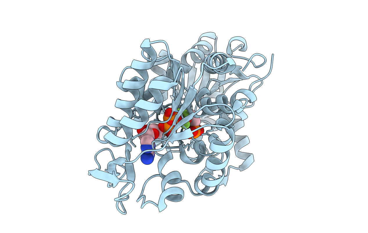 2YBE image