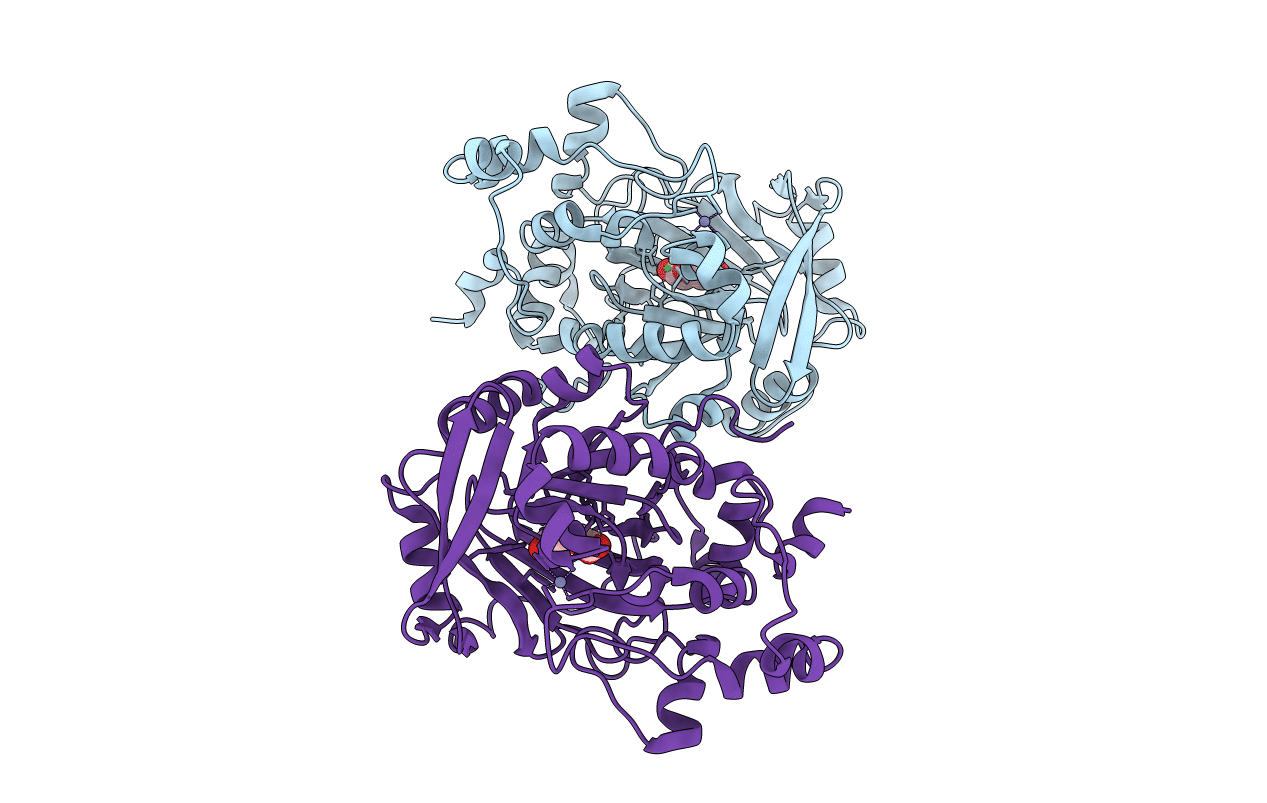 2YBK image