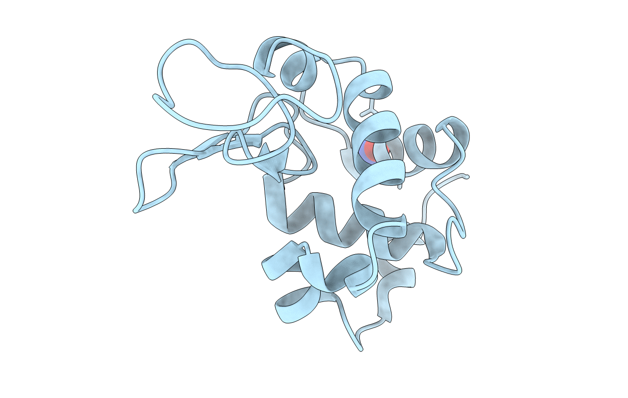 2YBM image
