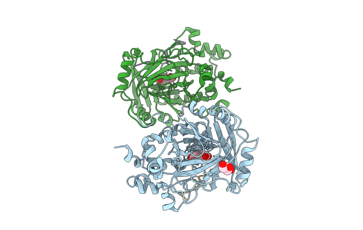 2YBP image