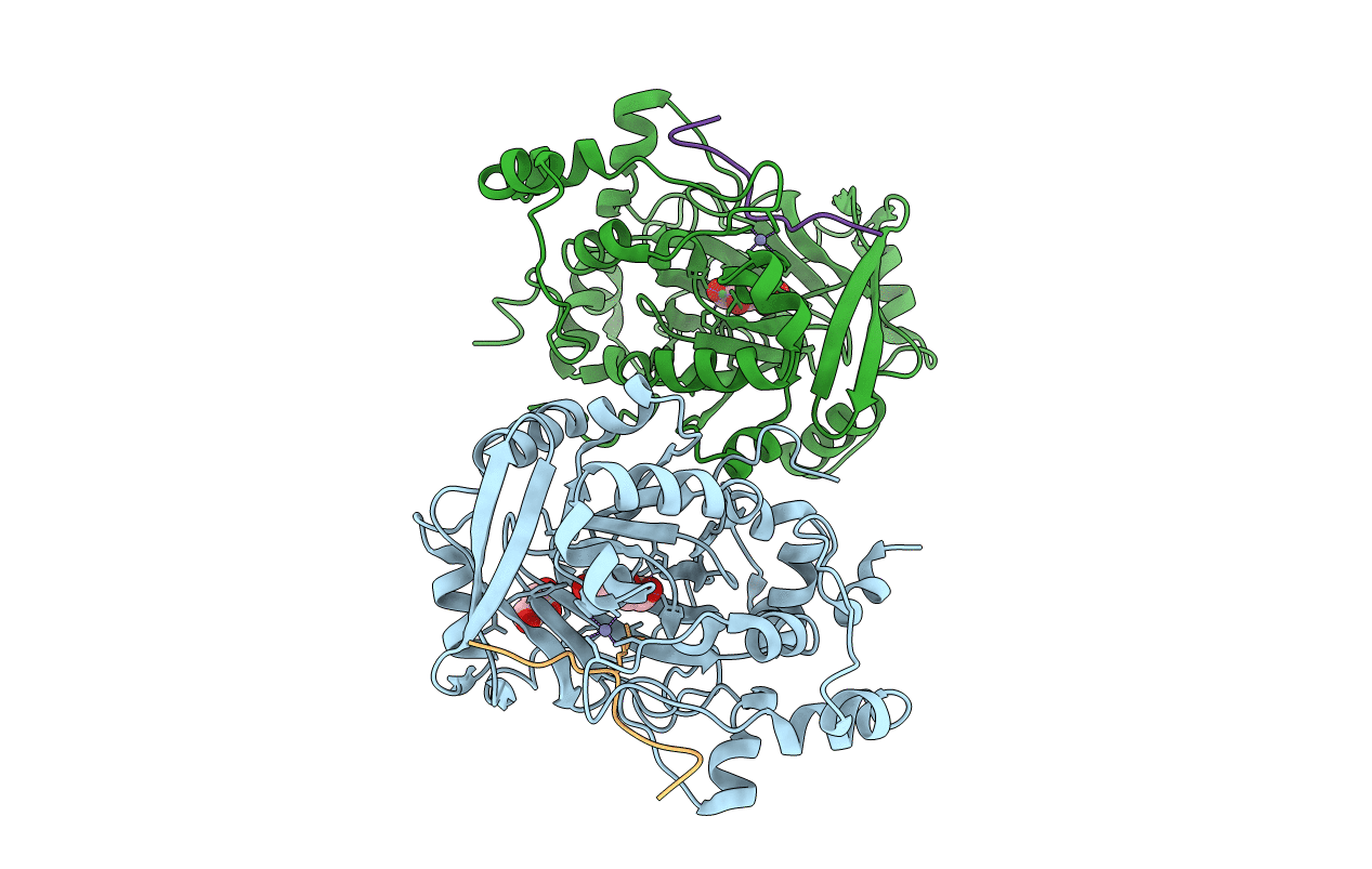 2YBS image