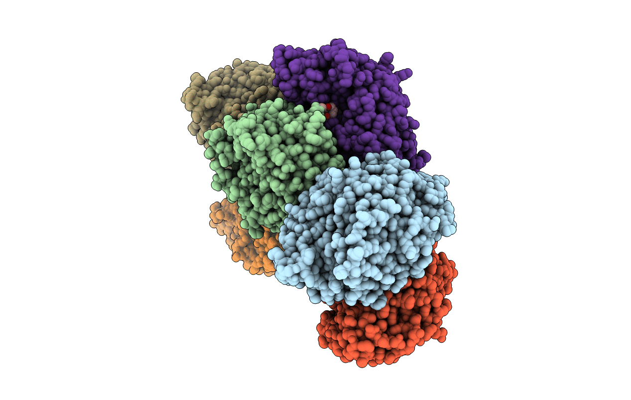 2YBT image