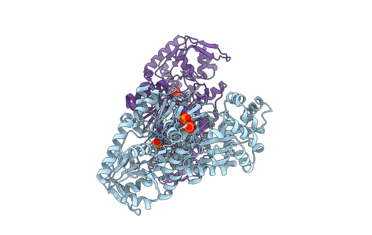 2YCB image