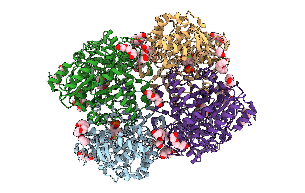2YCP image