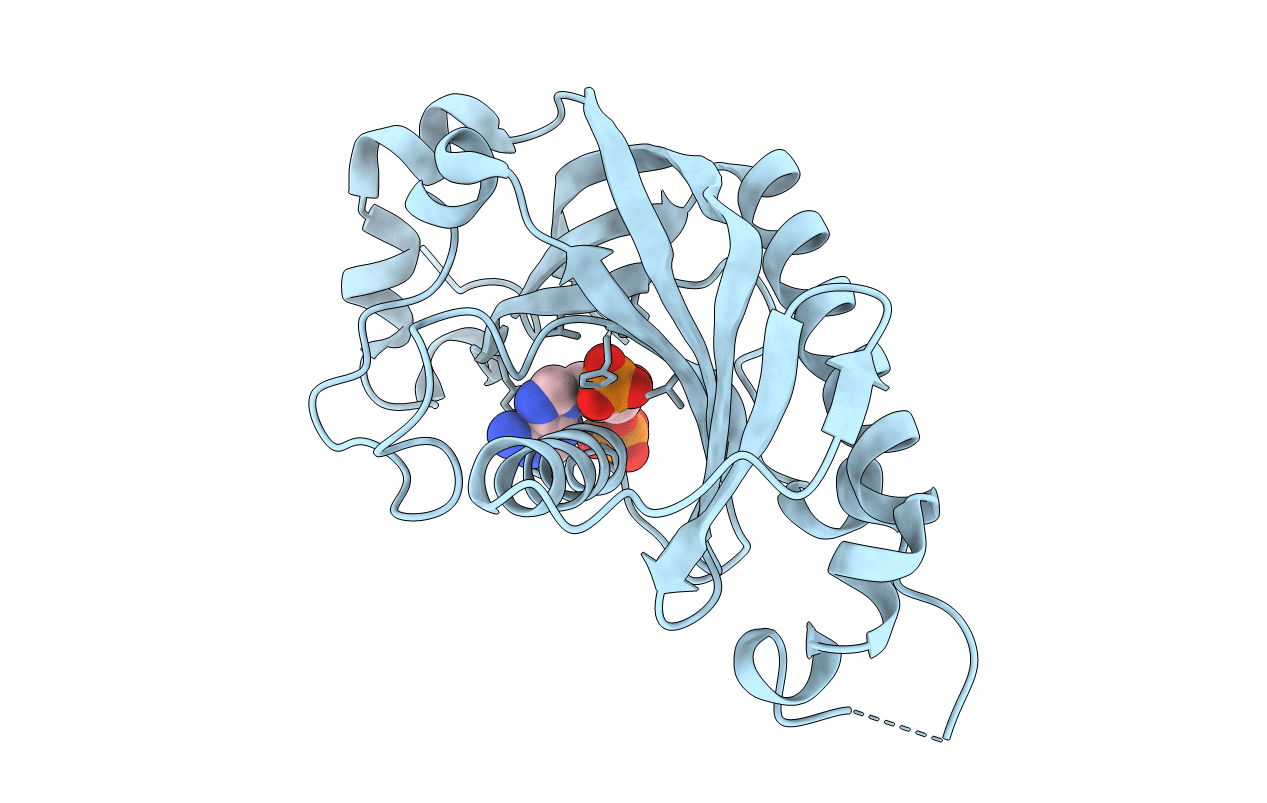 2YDB image