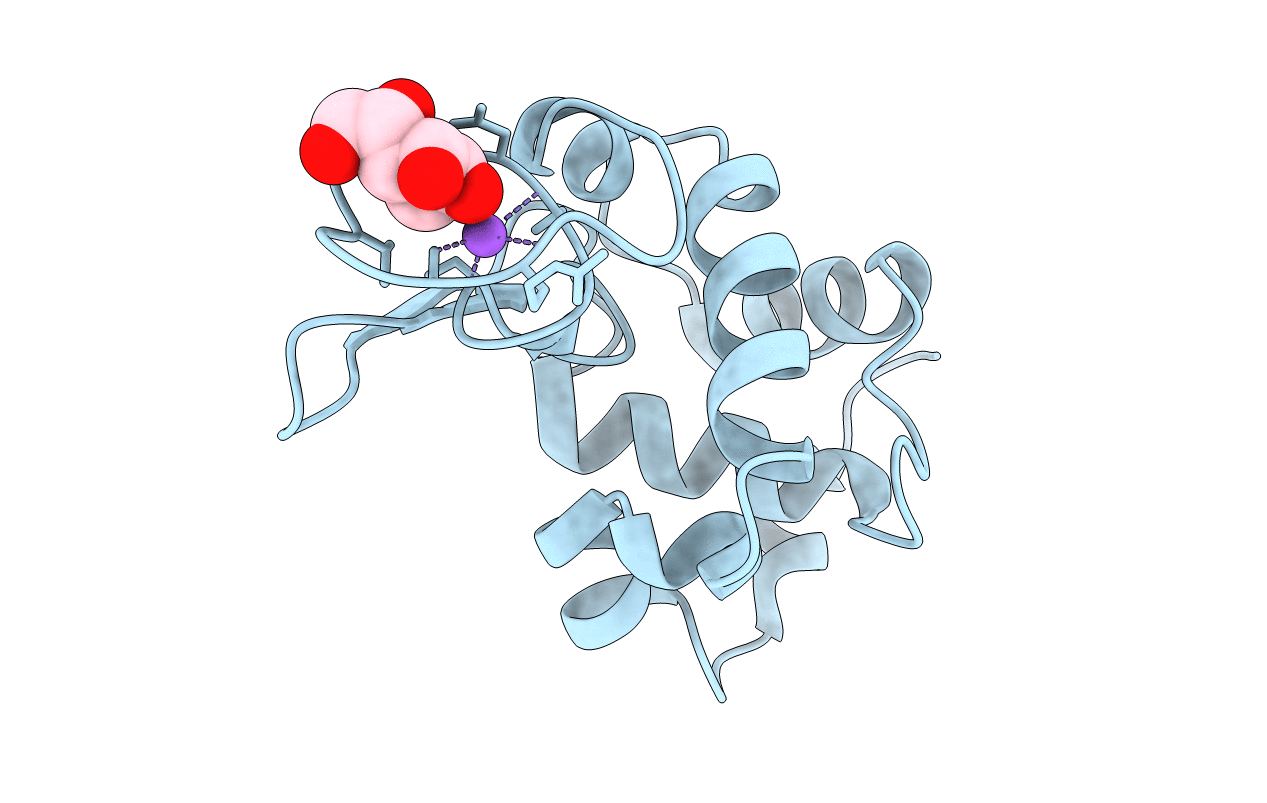 2YDG image