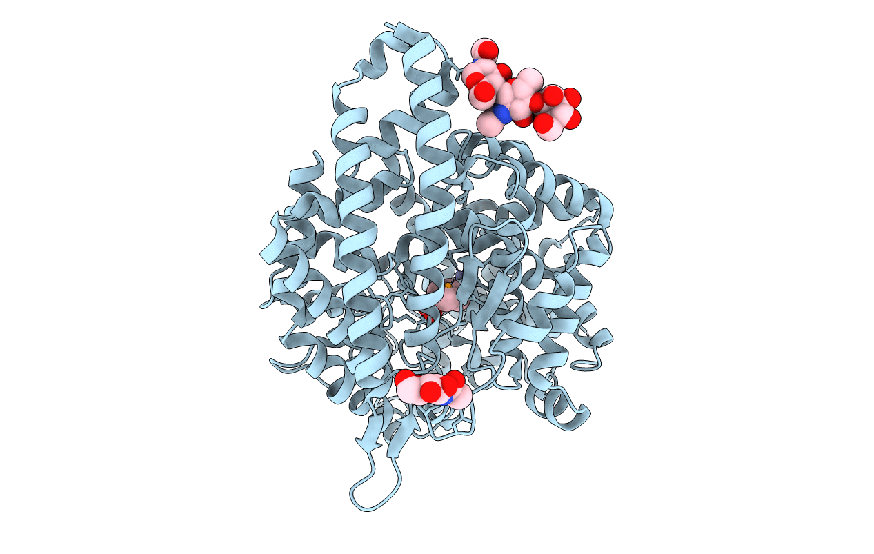 2YDM image