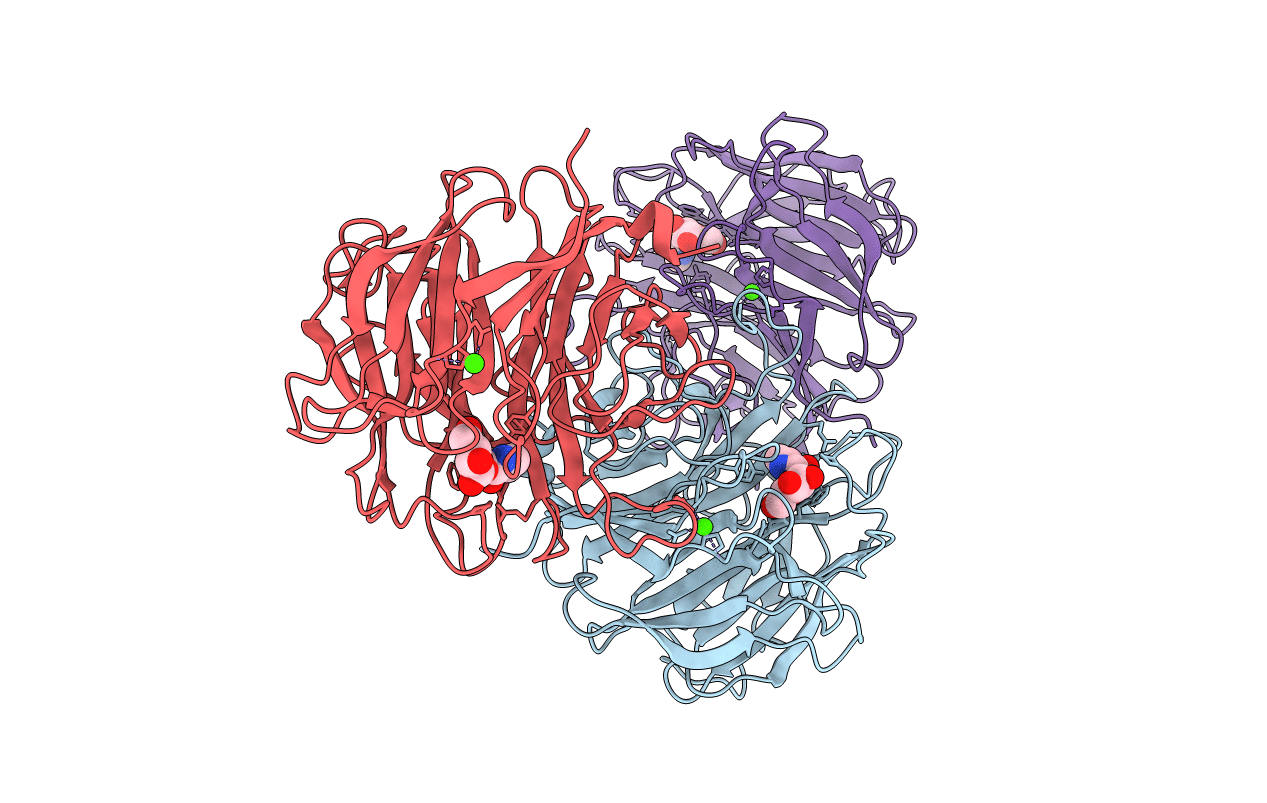 2YDP image