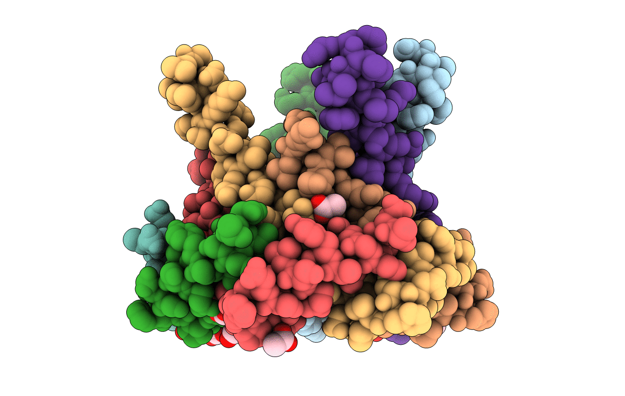 2YF2 image
