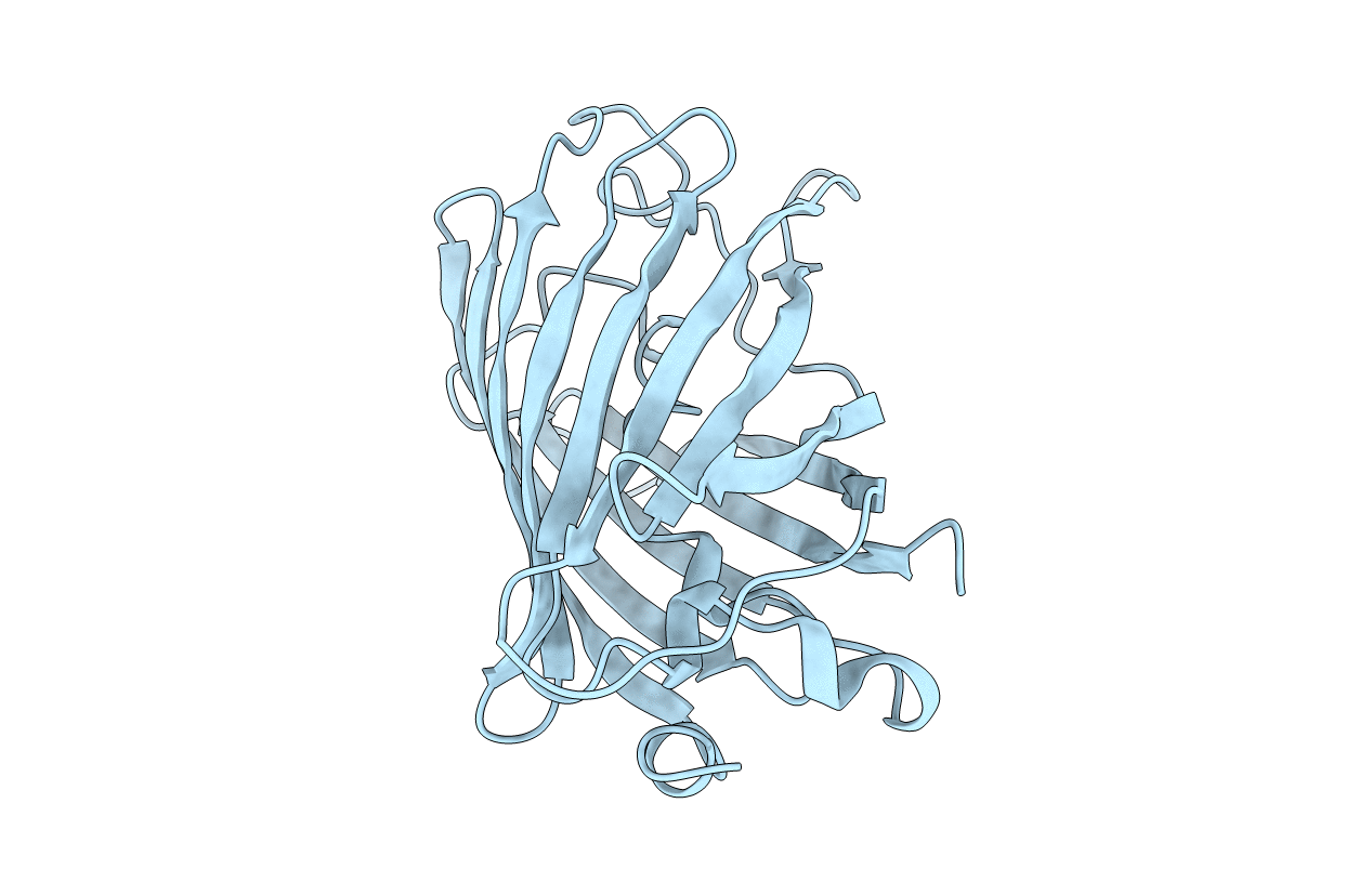 2YFP image