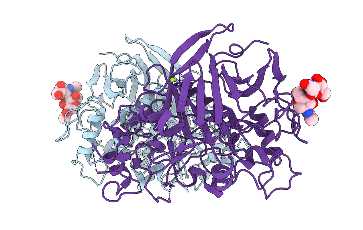 2YG1 image