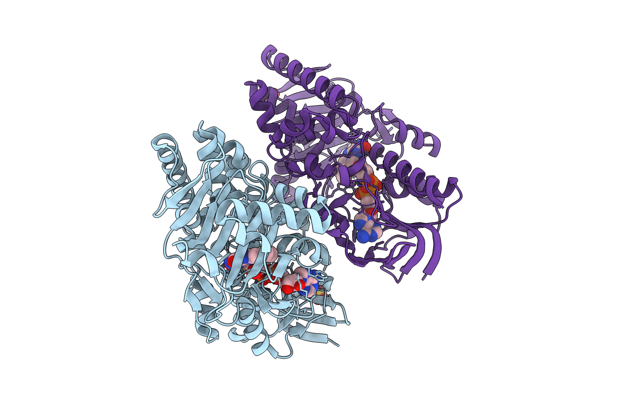 2YG6 image