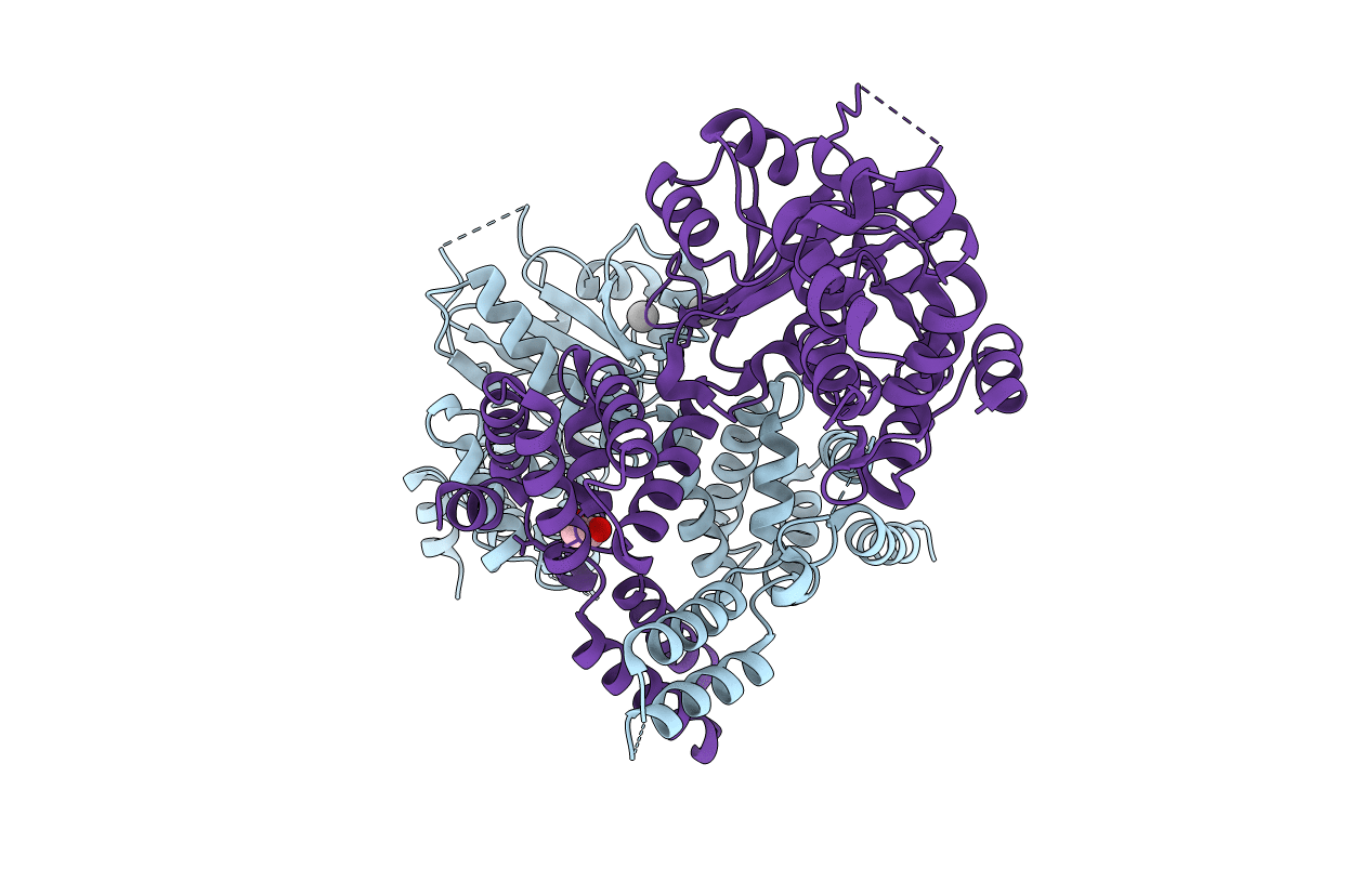 2YGW image