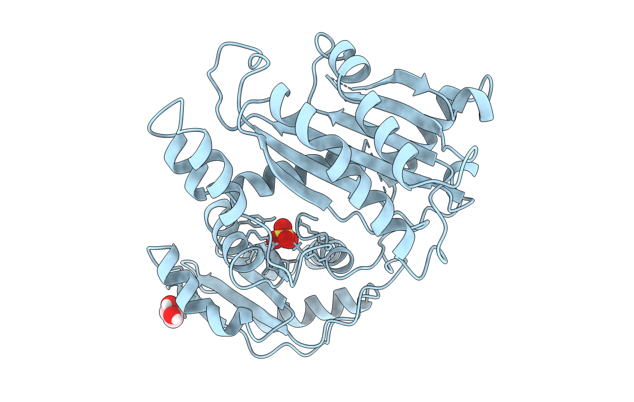2YHA image