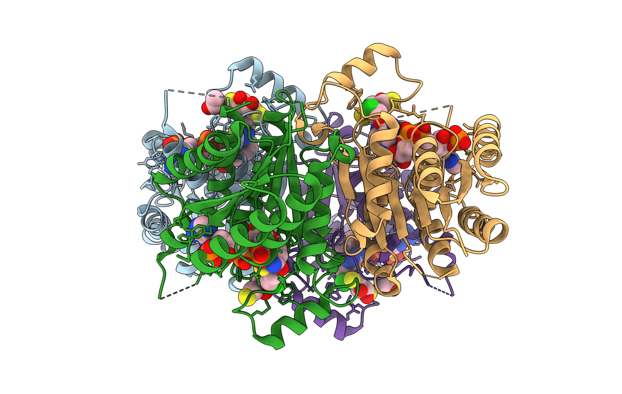 2YHI image