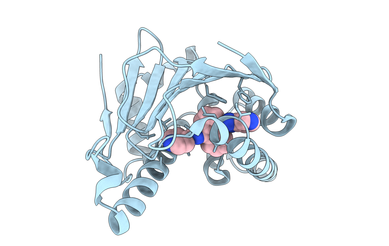 2YKC image