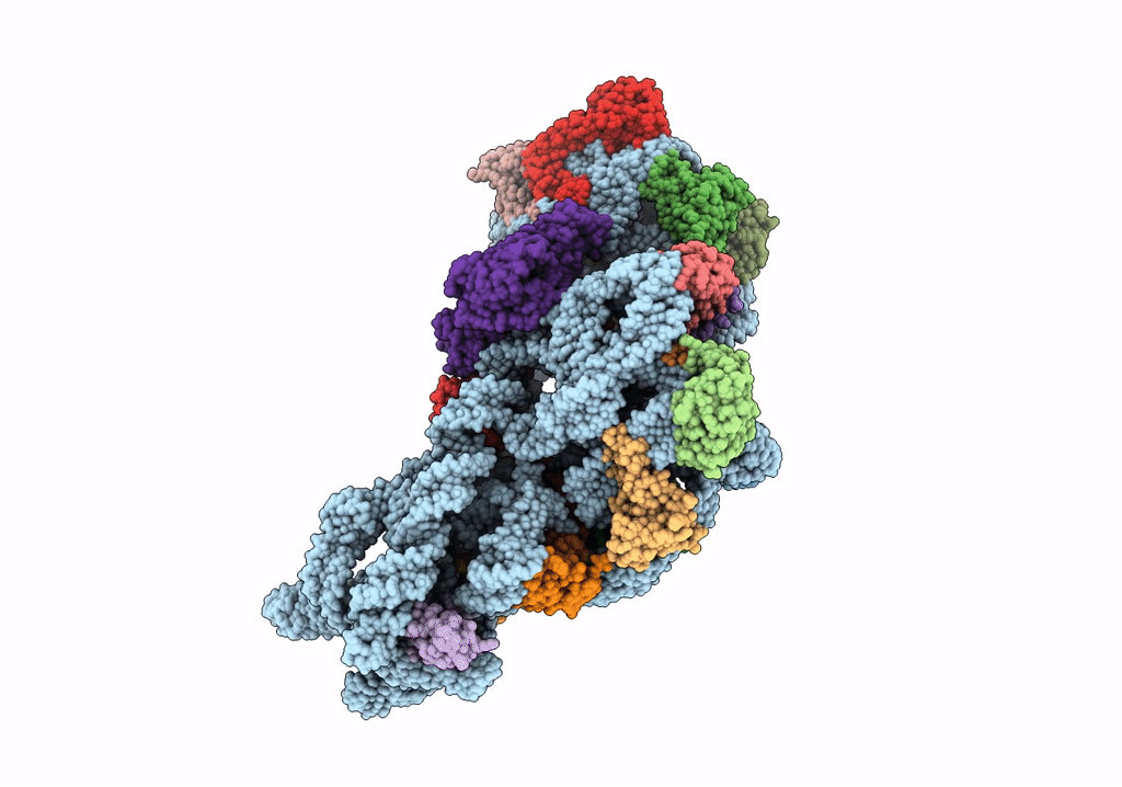 2YKR image