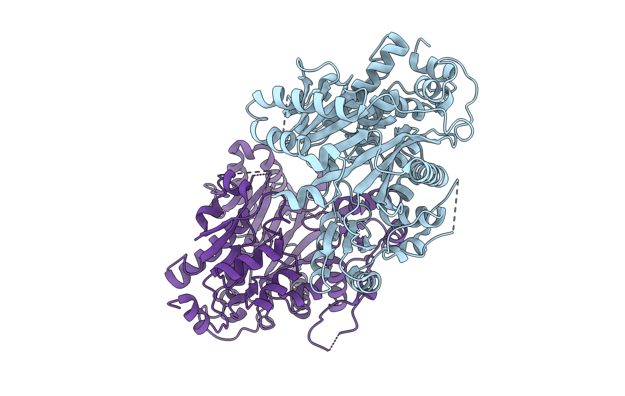 2YL2 image