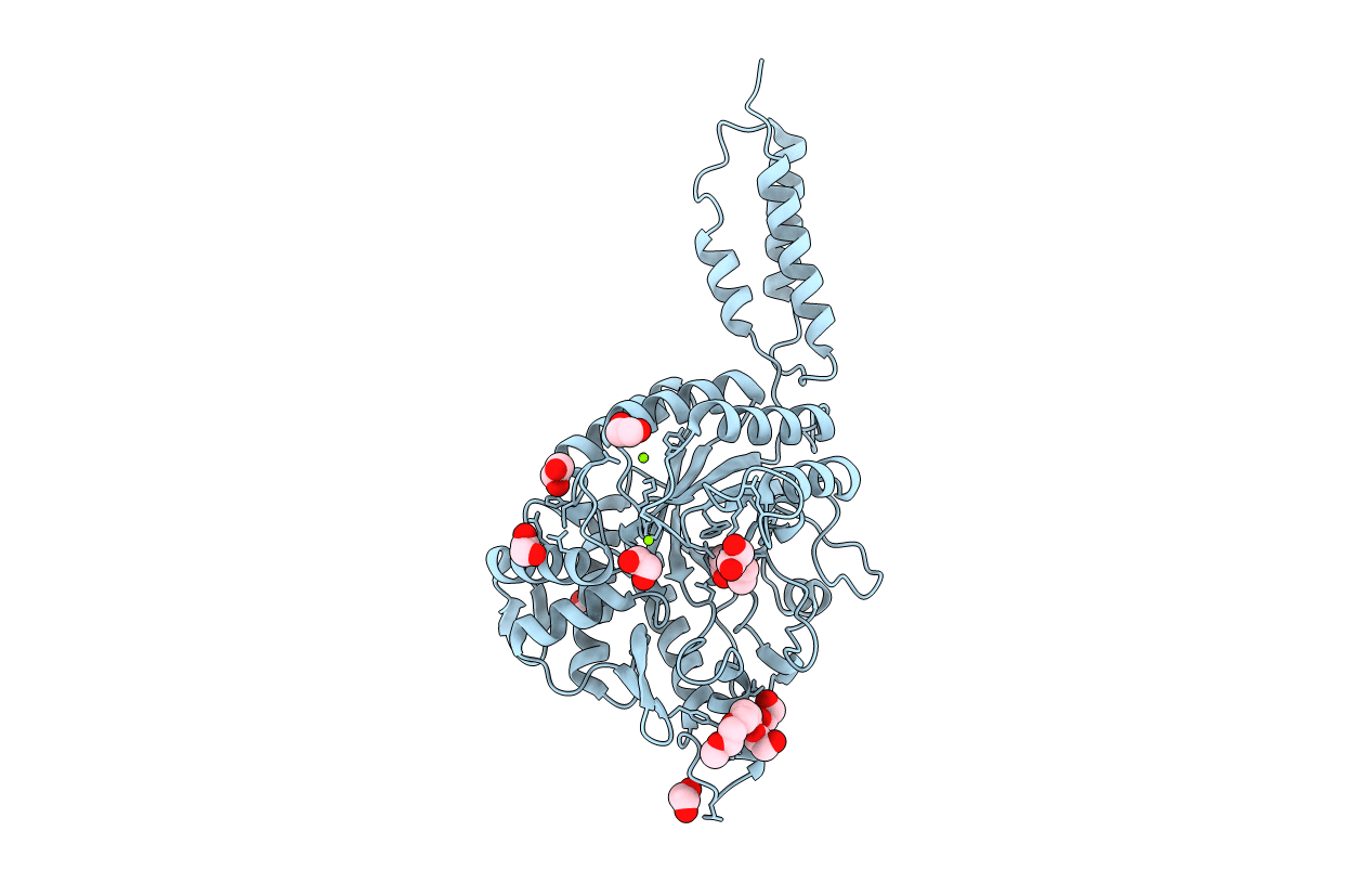 2YL6 image