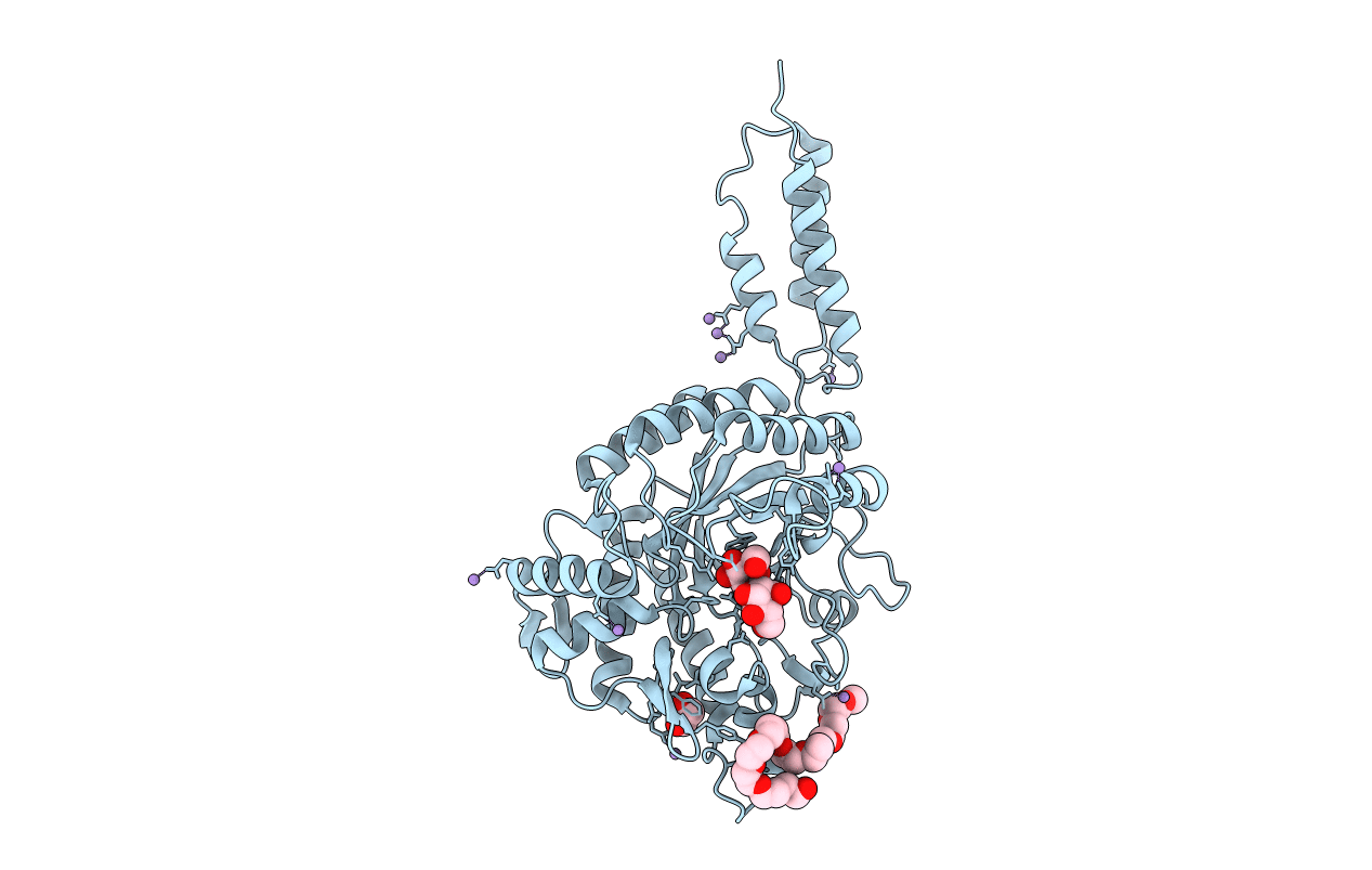 2YL8 image