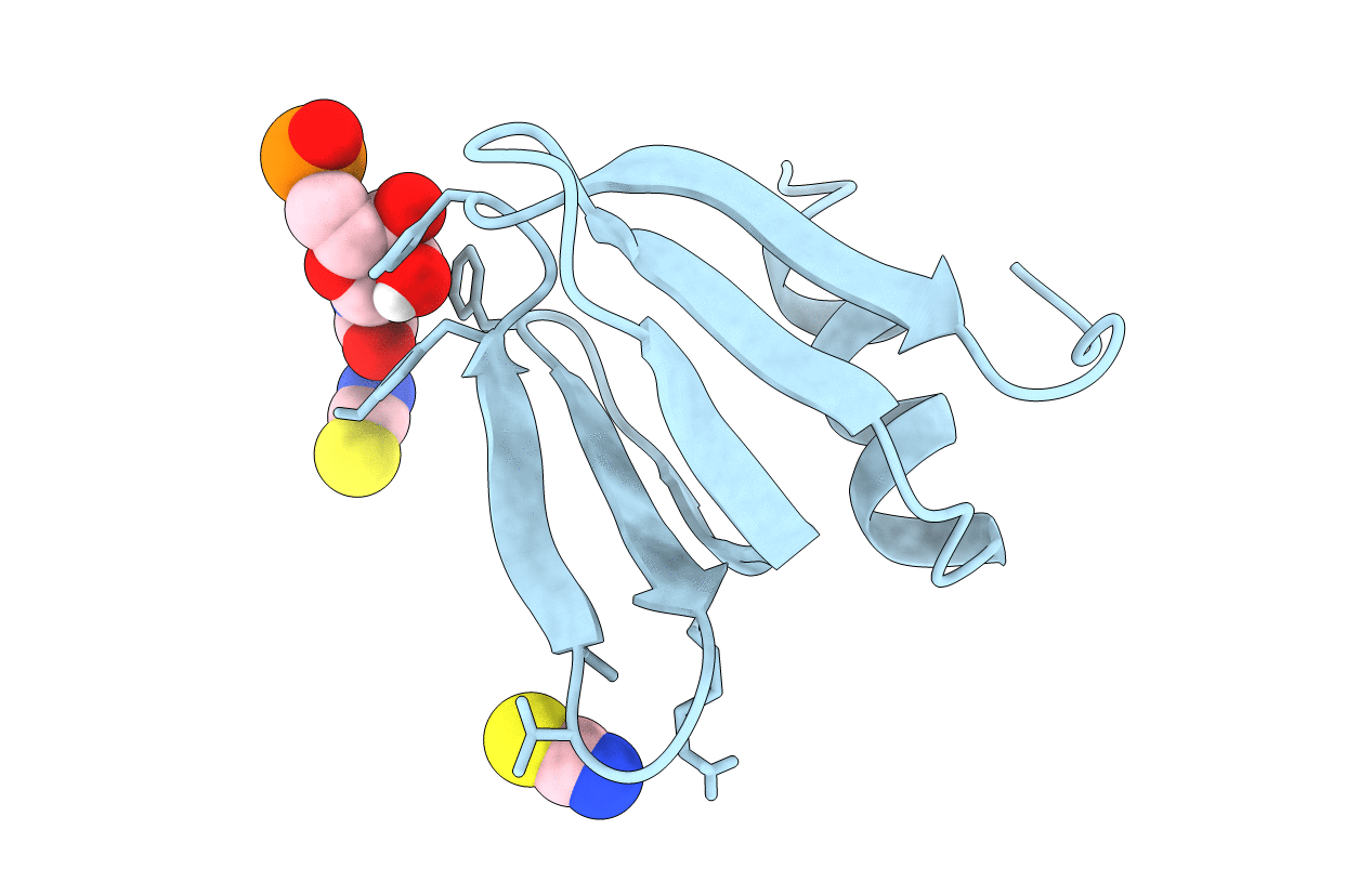 2YLC image