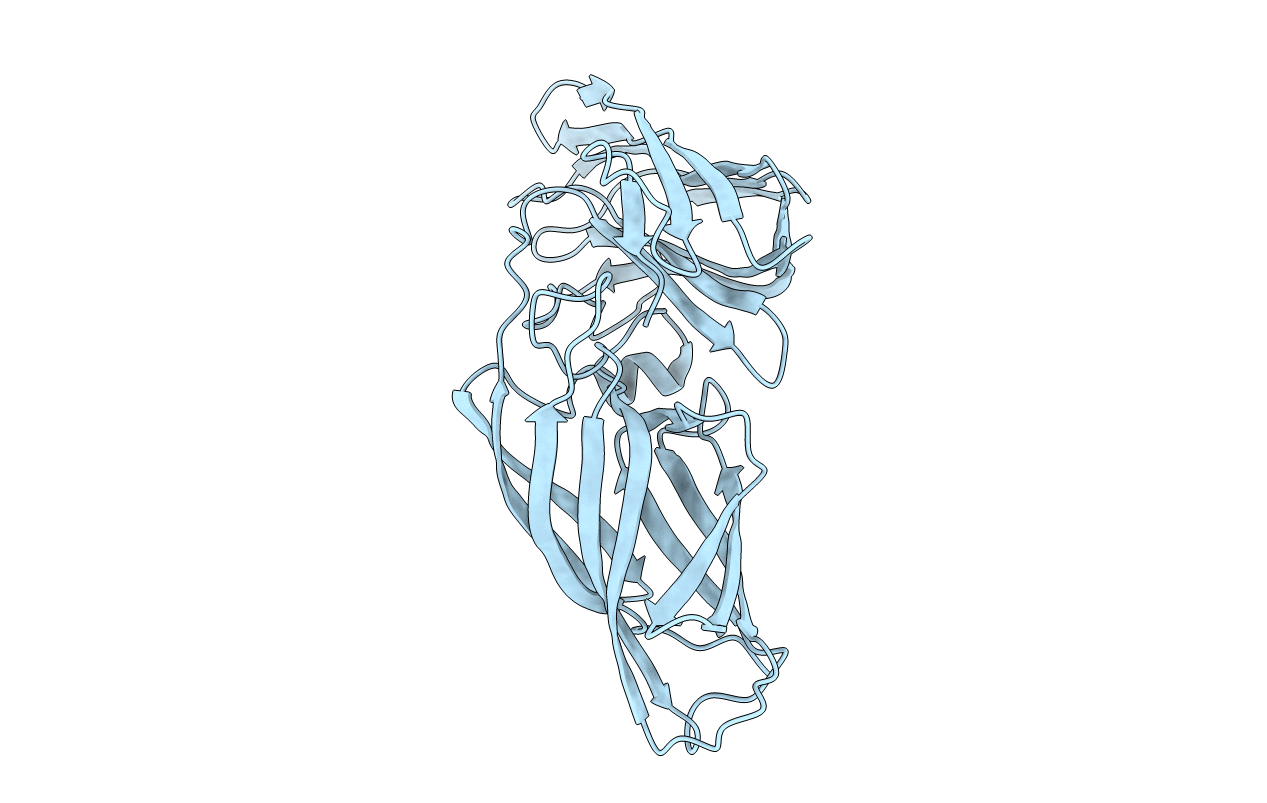 2YLH image