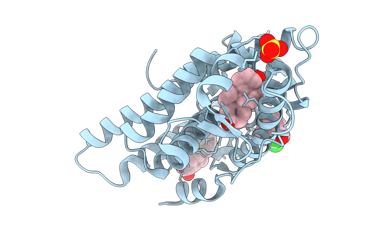 2YLP image