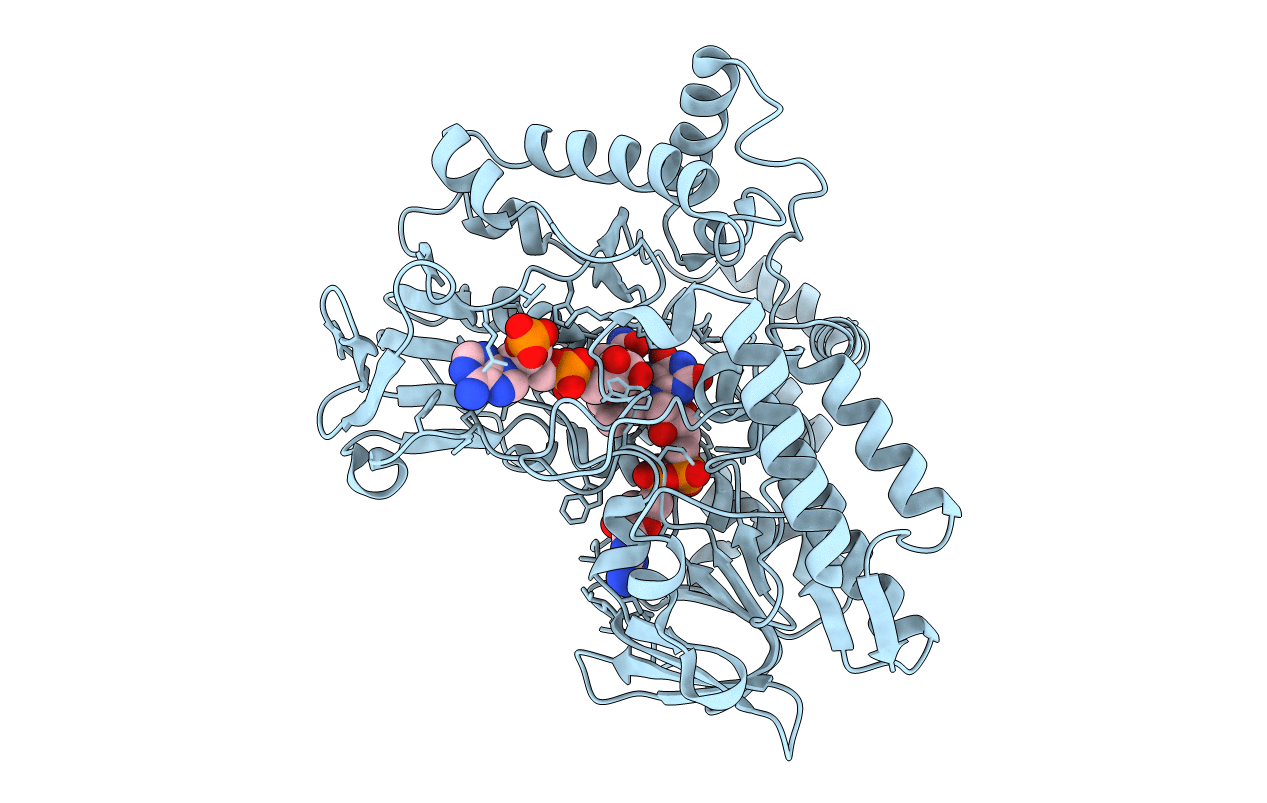 2YLR image