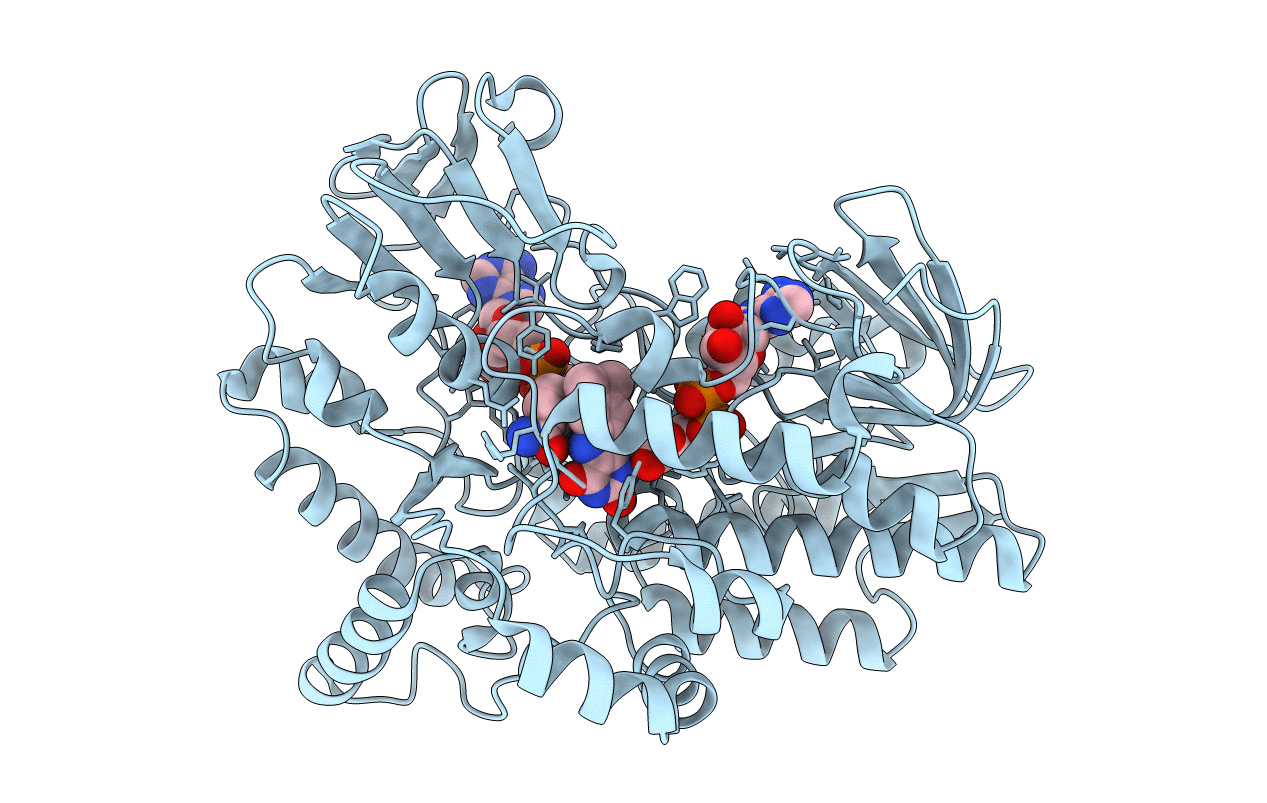 2YLS image