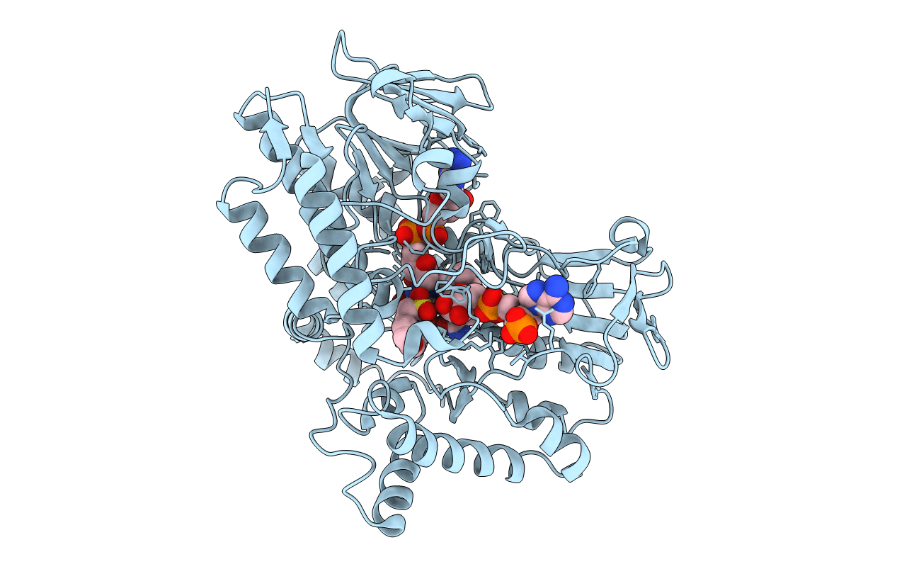 2YLT image