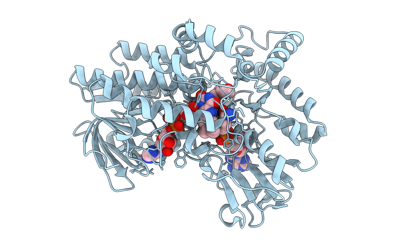 2YLW image
