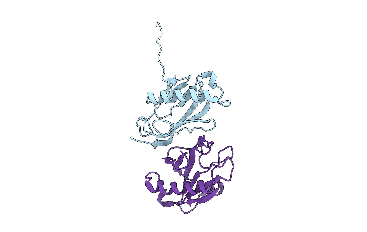 2YMA image