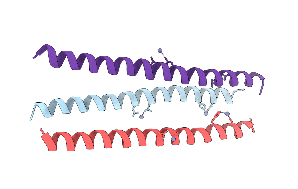 2YMK image