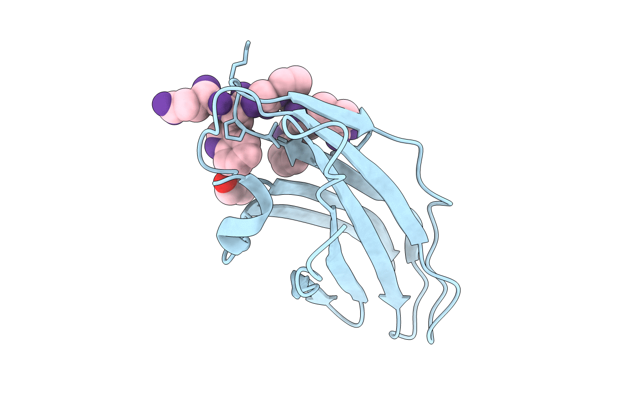 2YMT image